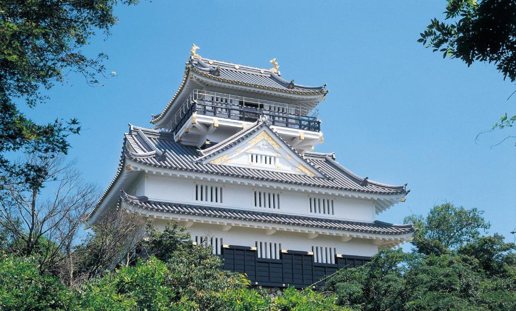 Enlarged view