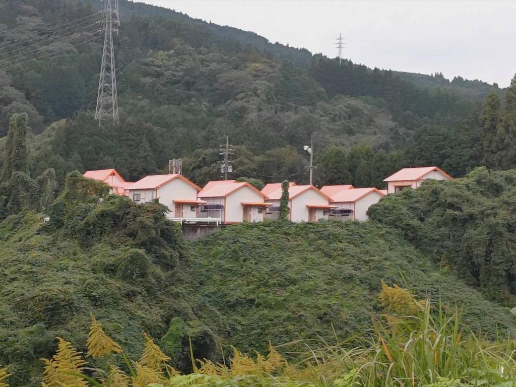 Enlarged view